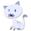 cat cat